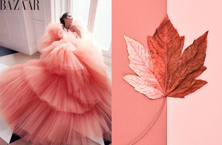 Pantone 2019ɫɺůĹռ